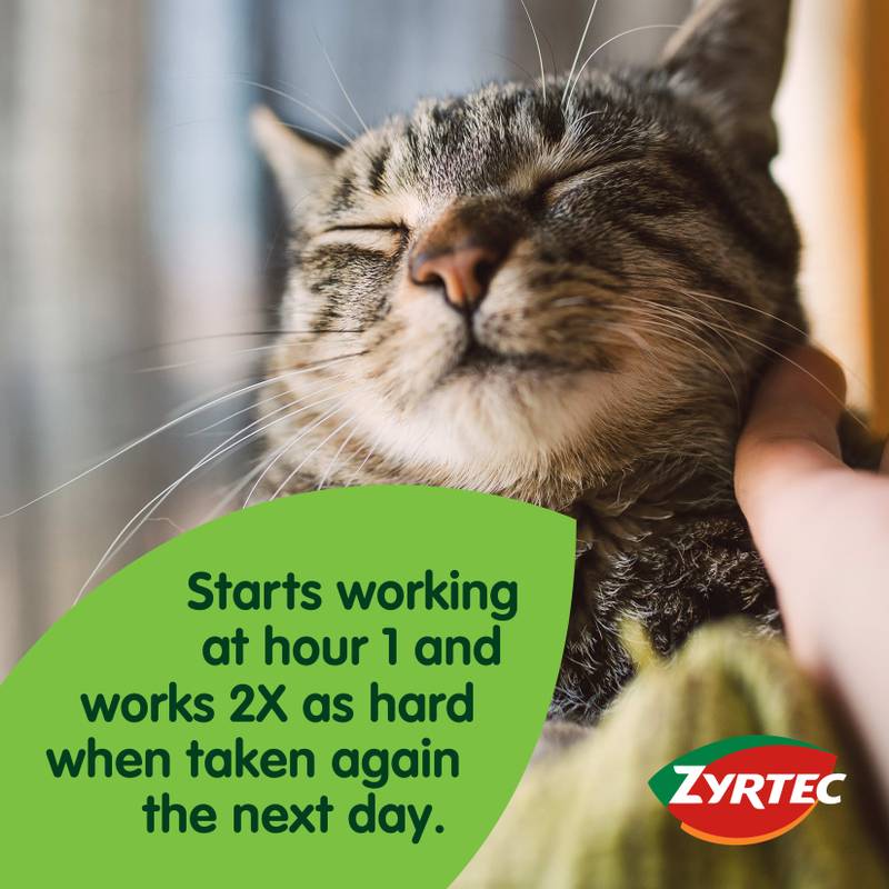 Zyrtec 24-Hour Allergy Relief Tablets 30ct