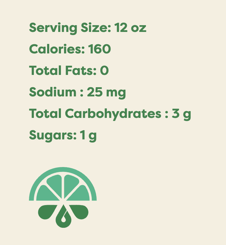 Booch Craft Kombucha Ginger Lime 6pk 12oz Can