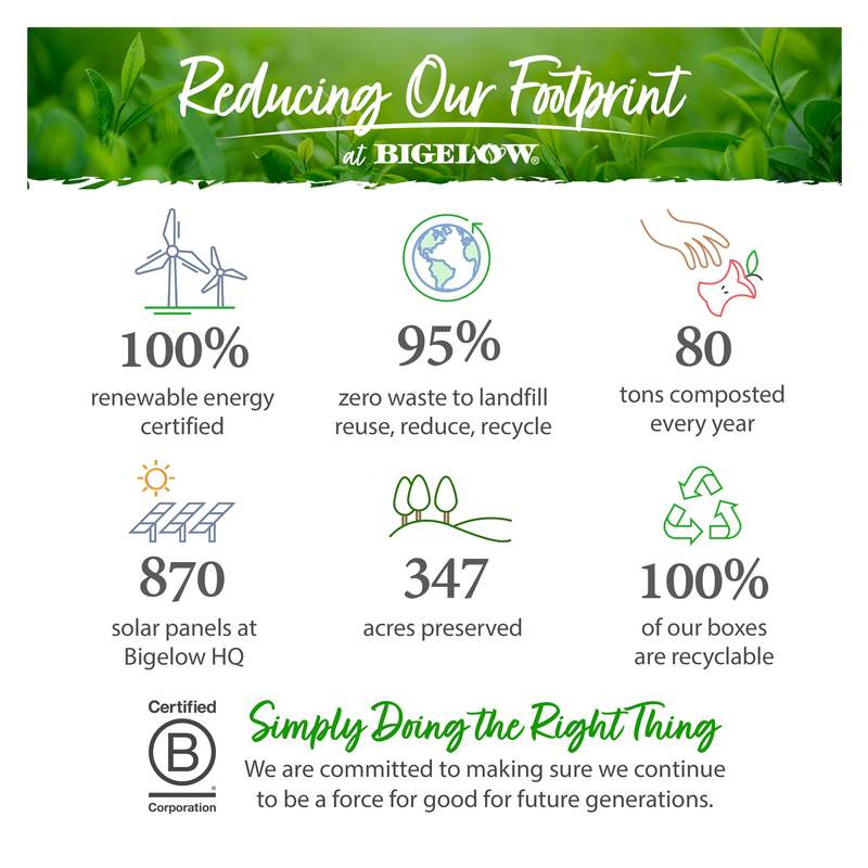 Bigelow Green Tea 20ct
