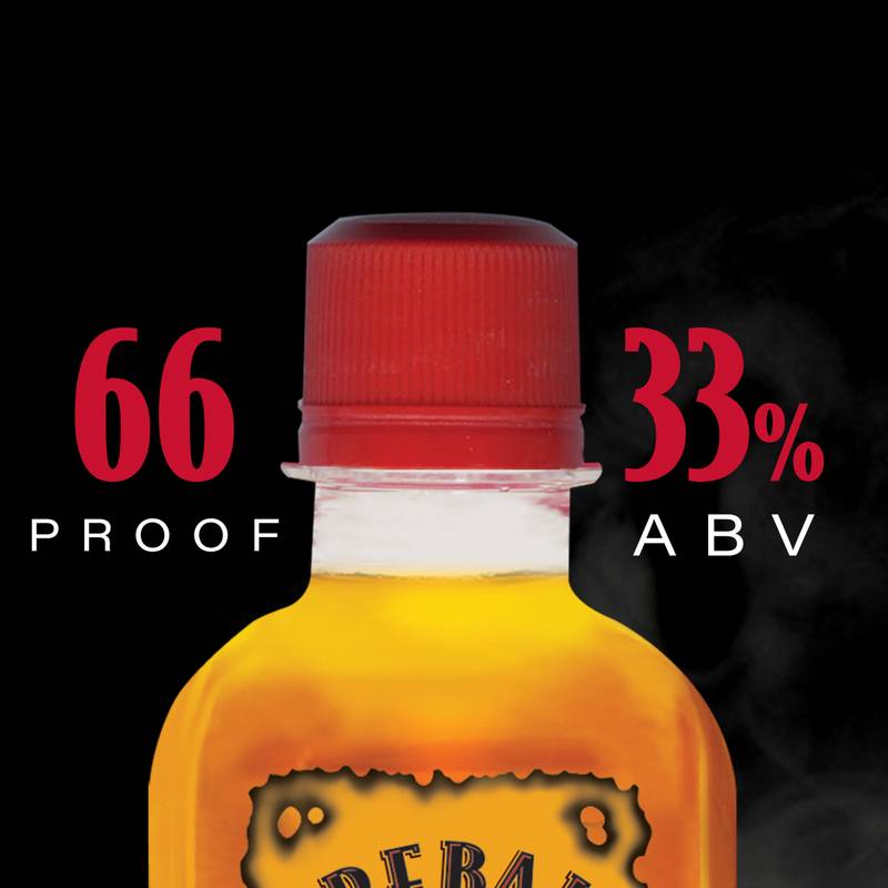 Fireball Cinnamon 6pk 100ml (33 Proof)