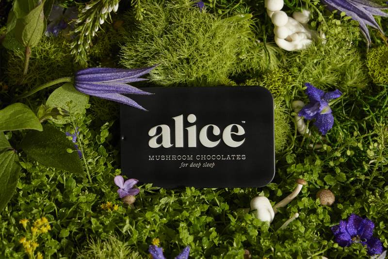 Alice Mushrooms Nightcap Tin, 2.7oz