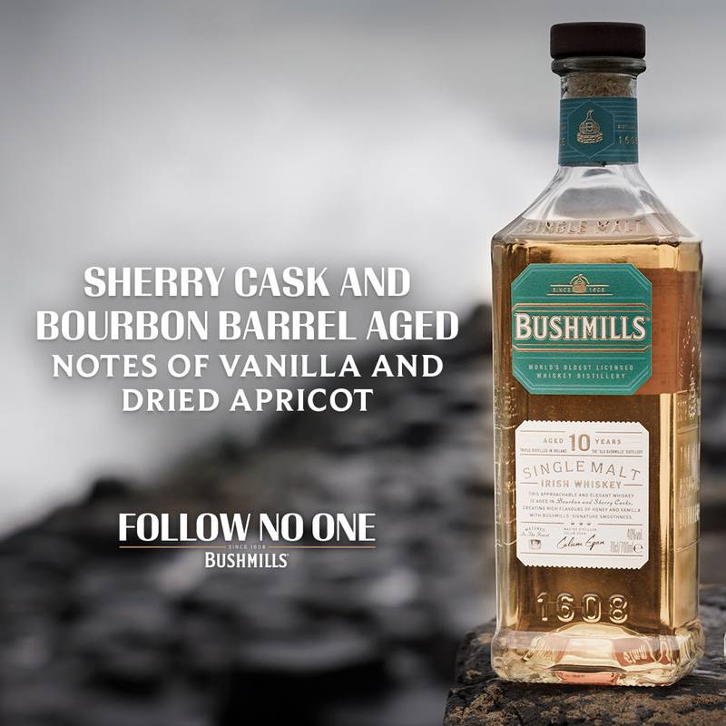 Bushmills 10 Year Irish Whiskey 750ml (80 Proof)