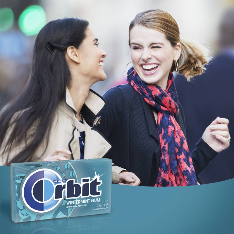 Orbit Wintermint Gum 14ct